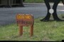 Please Kepp Of The Grass !