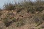 Verde River gravels