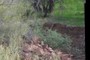 Recent flood deposit stack