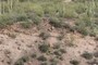 More river gravel