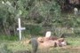 Grave