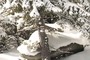 Trail marking?
