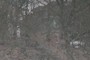 hidden house