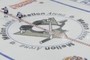 Center Ice