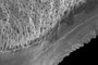 Serrations