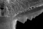 Shoulder serrations