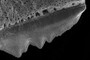 Shoulder serrations