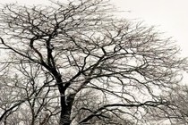 121947-210x140