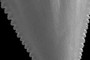 Serrations