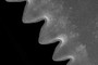 Serrations