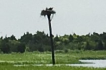 122764-210x140