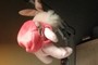 Hanged Bunny ^^