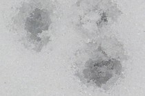 123771-210x140