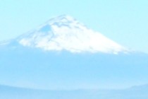 123858-210x140