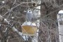 security light