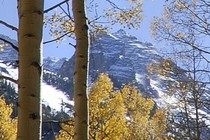 786-210x140