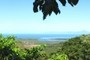 The Daintree river