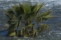 124689-210x140