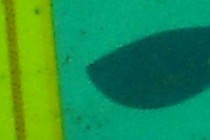 124852-210x140