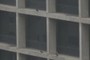Pigeons on the Perch