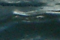 125806-210x140