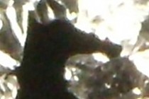 126031-210x140