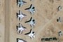 F-14 Tomcats