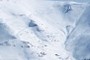 Les Alpins