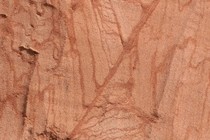 14259-210x140
