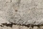 Gravelly paleochannel