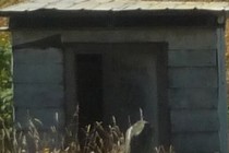 126454-210x140