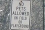 no pets