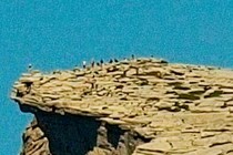 126555-210x140