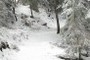 On the Trail