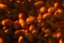 126592-210x140