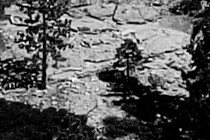 126642-210x140