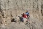 Paleontologists