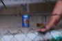 cerva sera que ta gelada 