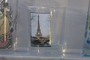 Paris shot glass