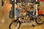 Kukuxumusu by Dahon bike