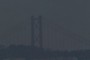 April 25 Bridge