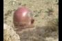 Baldy ;-)