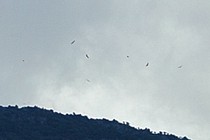 128038-210x140