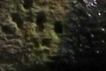 157725-210x140
