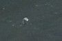 Kiteboarder