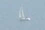 Sailing 