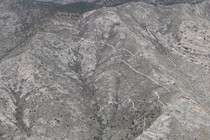 128938-210x140
