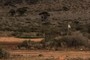 Nullarbor Links Golf Course