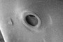Hole?