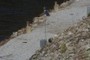 High water sensors?